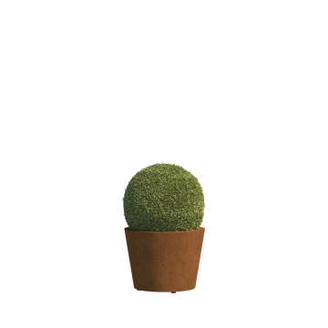 Mini vaso per piante Bari